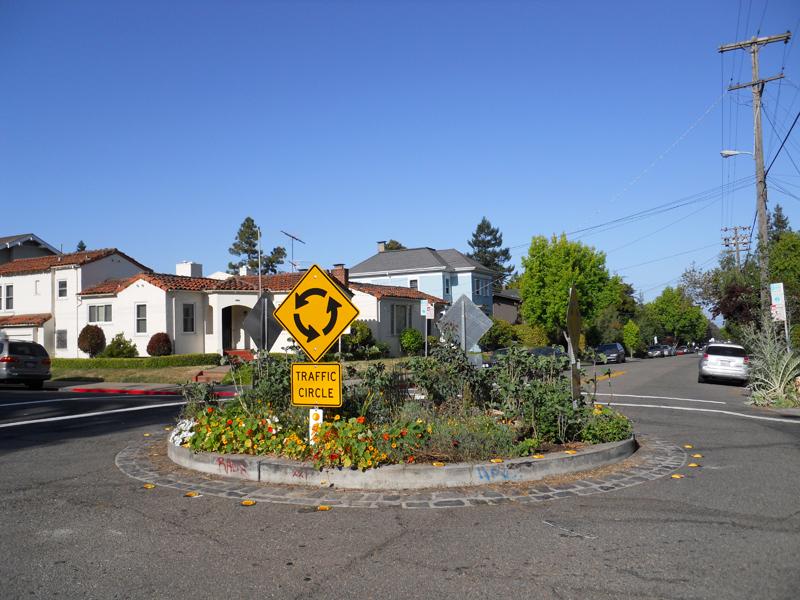 Roundabout with plants and traffic sign in the center